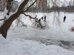 За безопасностью на льду в Краснодаре следят 13 камер видеонаблюдения 