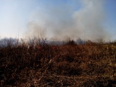 На территории муниципального образования город Краснодар  с 23 июля 2021 года установлен особый противопожарный режим