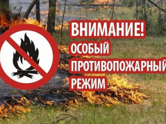 На территории муниципального образования города Краснодар с 29 июня 2022 года до особого распоряжения установлен особый противопожарный режим