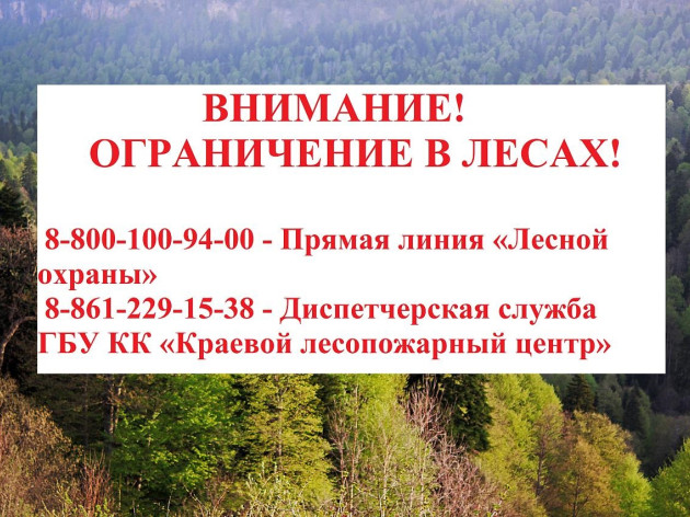 На Кубани введены ограничения на пребывание граждан на землях лесного фонда