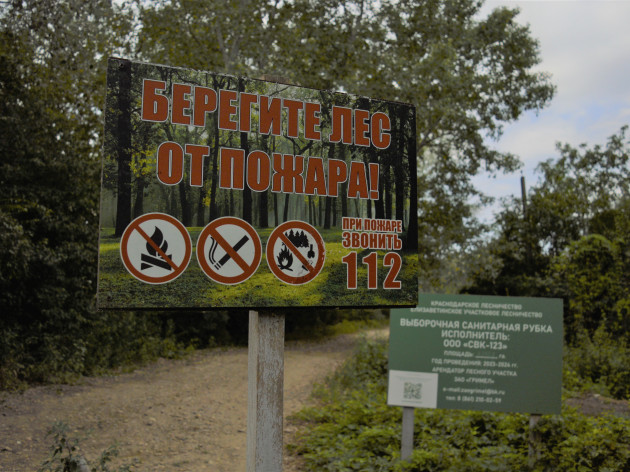 На Кубани продолжается режим ограничения на пребывание граждан на землях лесного фонда