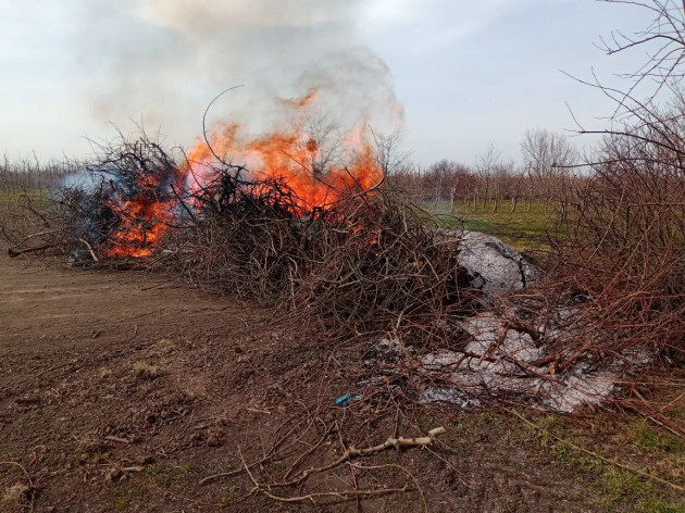 Неосторожное обращение с огнём