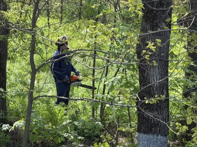 Солнечная погода + сплочённая команда = субботник в действии!