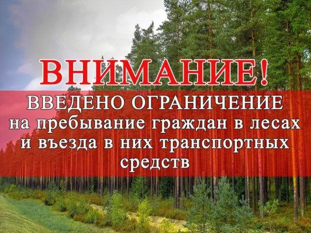 На Кубани введён режим ограничения пребывания граждан в лесах