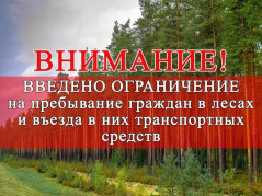 На Кубани введён режим ограничения пребывания граждан в лесах